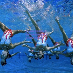 极速电竞_奥地利队强势晋级 时隔多年再度锁定世界杯足球赛决赛圈席位