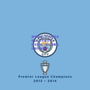 极速电竞比分-西甲鏖战，巴列卡诺主场1-1战平塞尔塔，博尔哈破门难阻德弗鲁托斯闪电扳平