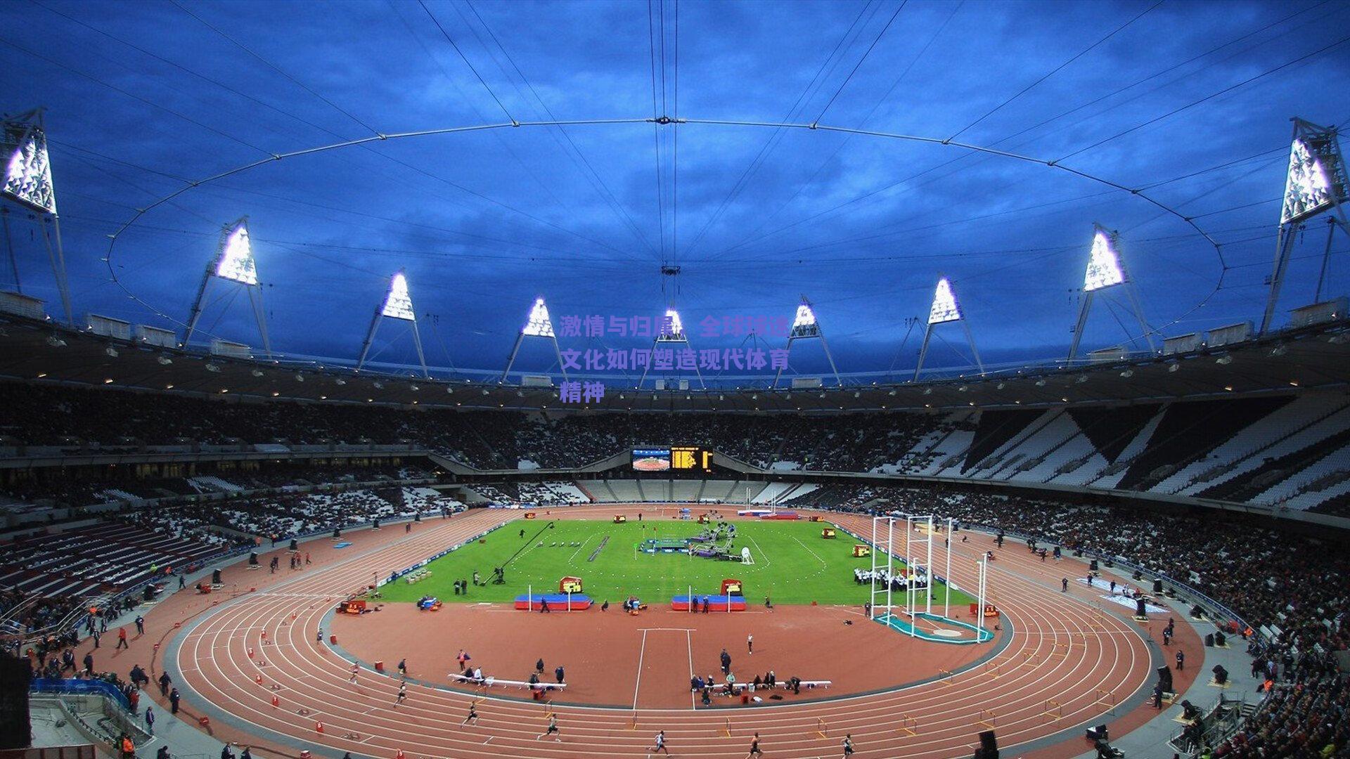 激情与归属,全球球迷文化如何塑造现代体育精神